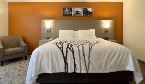 King Room - Non Smoking