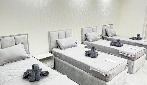 Comfort Quadruple Room