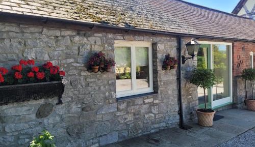 Studio with Garden View