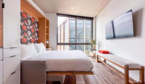 One-Bedroom Apartment with River View