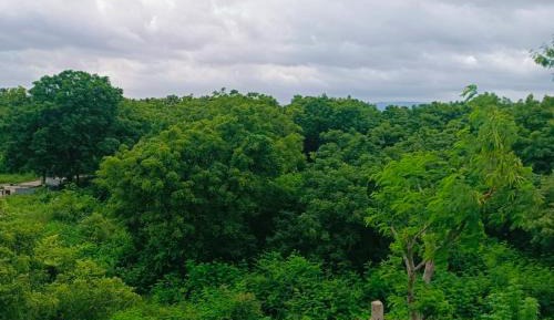Standard Double Room with Fan