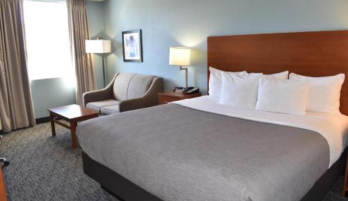 Standard King Room