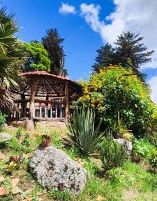 Twin Room with Private Bathroom