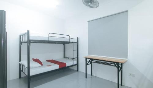 Bunk Bed in Mixed Dormitory Room