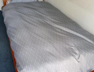 Single Room with Shared Shower and Toilet