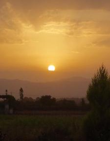 King Room with Garden View