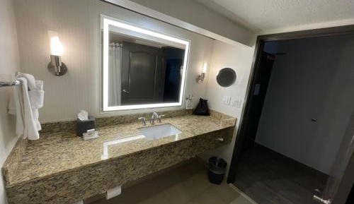 Standard King Room with Sofa Bed