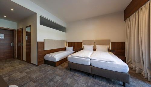 Basic Triple Room