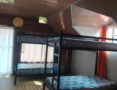 4-Bed Mixed Dormitory Room