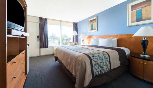 King Room - Pet Friendly/Non-Smoking