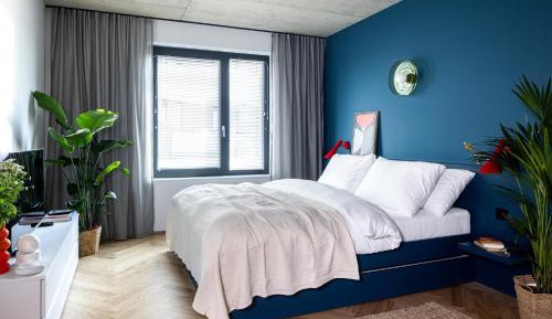 Superior One-Bedroom Apartment