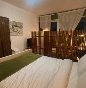 Double or Twin Room with Terrace