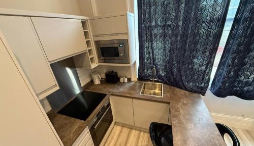 Deluxe One-Bedroom Apartment