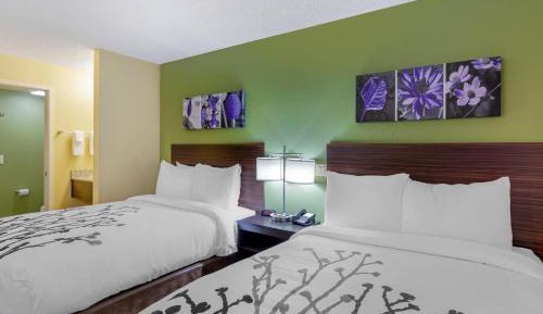Double Room with Two Double Beds