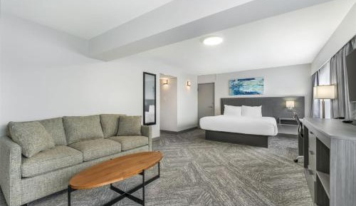 Large King Room with Sofa Bed and Kitchen - Non-Smoking
