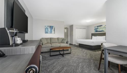Large King Room with Sofa Bed - Non-Smoking