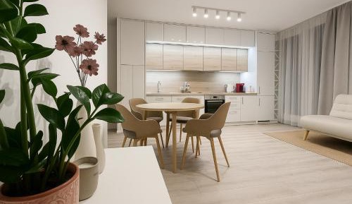 Apartment with Terrace