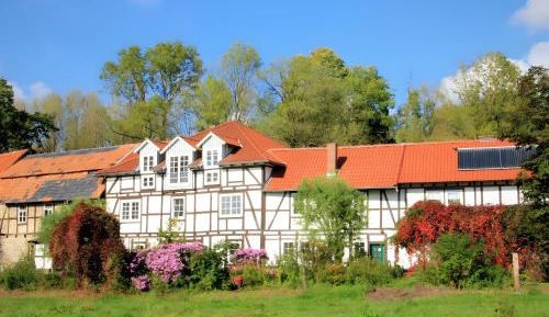 Superior One-Bedroom Apartment