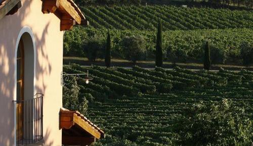 Superior One-Bedroom Apartment (2 Adults)