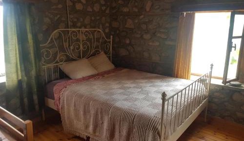 Single Bed in 4-Bed Dormitory Room
