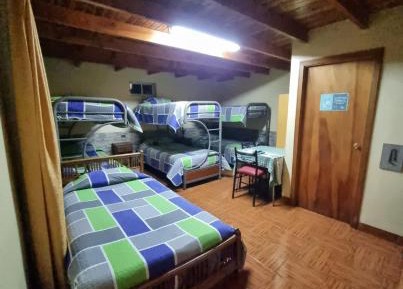 Standard Family Room