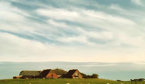 Two-Bedroom Superior Apartment