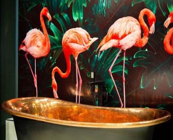 Flamingo - (One Bedroom Apartment)