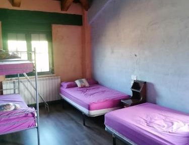 Bed in 4-Bed Mixed Dormitory Room
