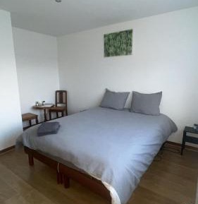 Double Room with Shared Bathroom