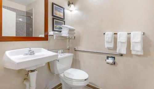 Accessible King Suite