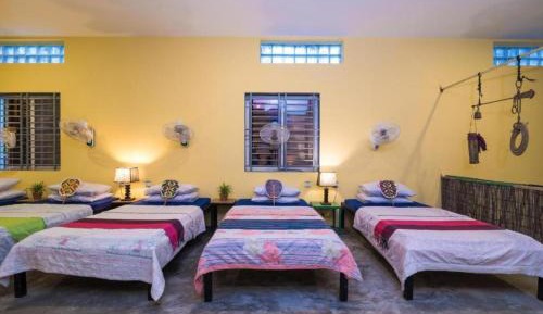 Single Bed in Mixed Dormitory Room