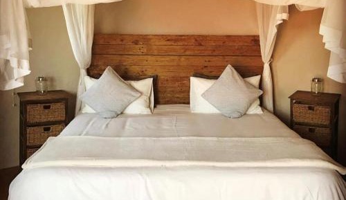 Comfort Dormitory Room