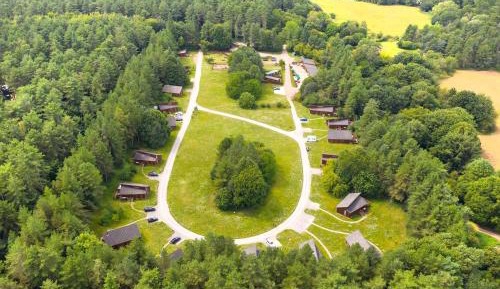 Golden Oak Treehouse