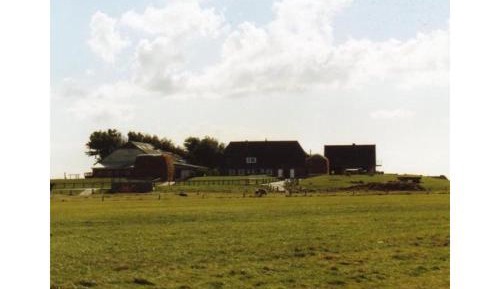 Two-Bedroom Superior Apartment