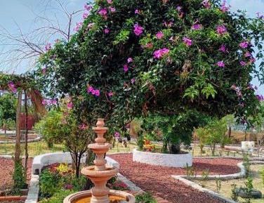 Three-Bedroom Bungalow