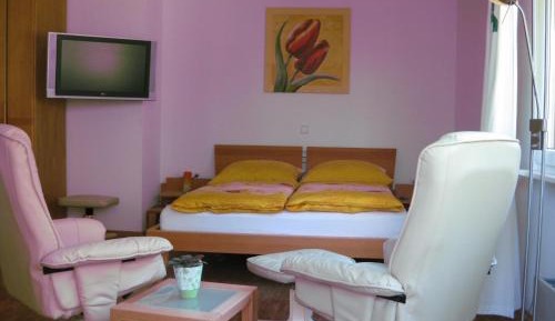 Superior One-Bedroom Apartment