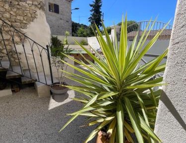 One-Bedroom Apartment with Pool View