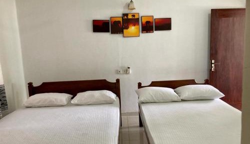Twin Room with View
