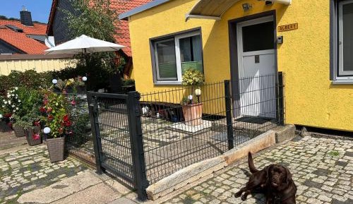 One-Bedroom Bungalow