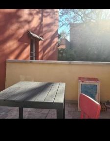 Double Room with Terrace