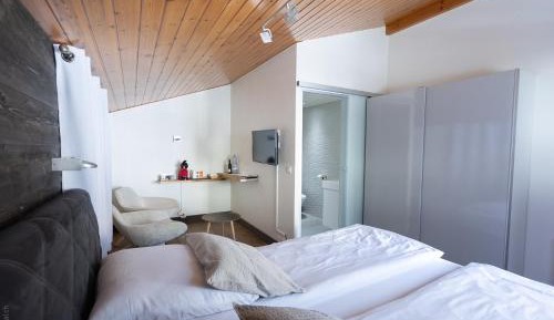 Double Room with Mountain View