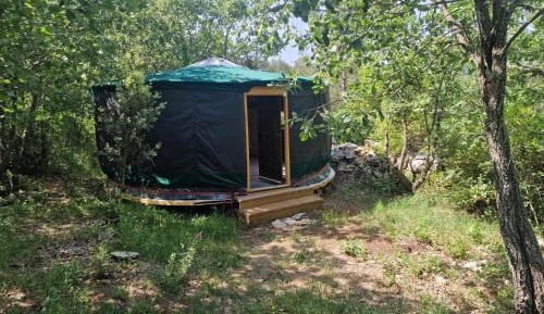 Family Room with Garden View