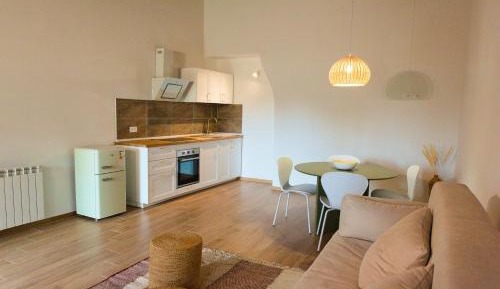 Deluxe One-Bedroom Apartment