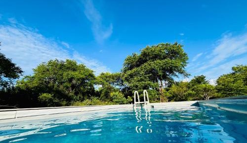 Family Glamping bordering Yala with a Guided Bush Walk