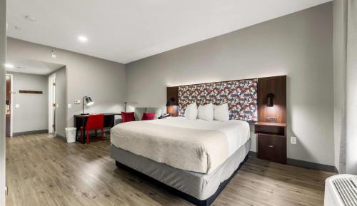 One-Bedroom King Suite with Full Kitchenette - Non-Smoking