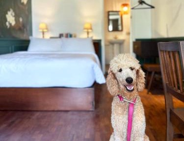 One-Bedroom Apartment with Garden View