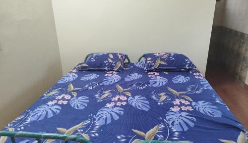 Deluxe Double or Twin Room with Mountain View