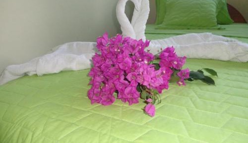 Economy Triple Room with Shared Bathroom