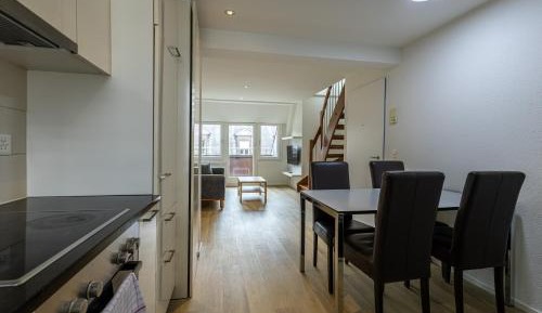 Luxury Duplex Apartment