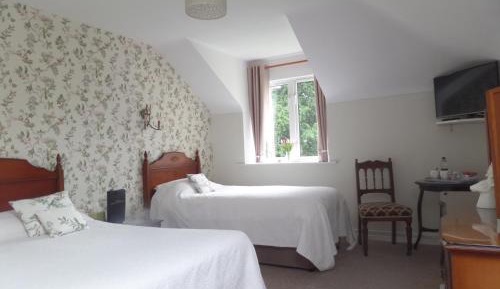 Twin Room with Garden View